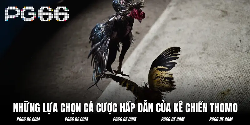 Ba cửa cược chính khi bạn đến với trực tiếp đá gà Thomo