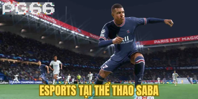 Esports tại thể thao Saba