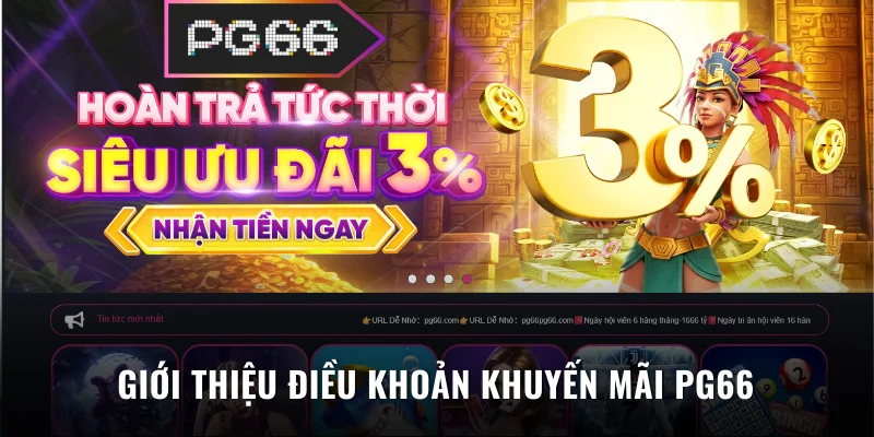 Giới thiệu các điều khoản khuyến mãi PG66