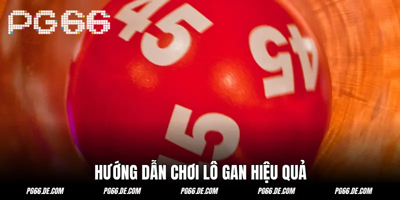 Hướng dẫn hội viên nuôi lô gan hiệu quả