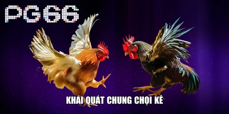 Khái quát chung chọi kê