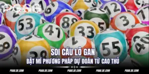 soi-cau-lo-gan